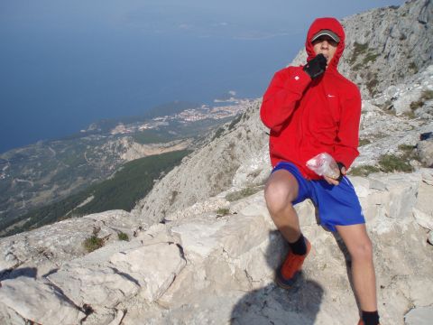 galeb