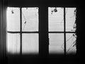 sjene u prozoru