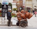 Prodavač košar…