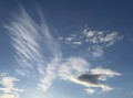 Ptica oblak hv…