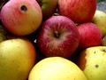 jabuke za štru…
