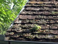Stari krov