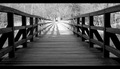the bridge 02 …