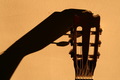 shadow of the …
