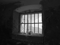 prozor logora