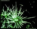 fireworks V