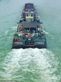 Dunavom brodov…