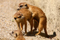 a kaj ti opet &hellip;