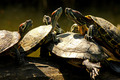 ekipica...
