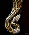 python realmon…