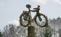 šumski bicikl.…