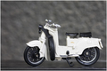 Galleto 160cc