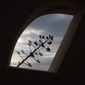 uokvirena agav…