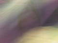 silueta