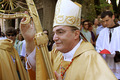 kardinal Bozan…