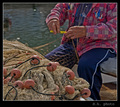 ribareva mreža