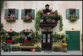 Lorenzago di C…