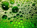 green bubbly w…