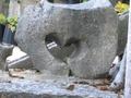 Srce u kamenu