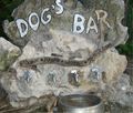 Dog's bar