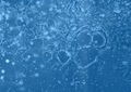 VODOGRAFIJA 20…