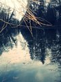 Lake2