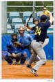 softball action