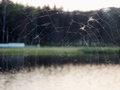 paukova mreža