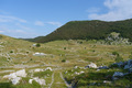 Sloboda