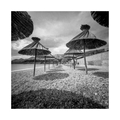 Pinhole day 20…