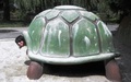 kornjača