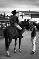 Konj na street…