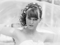 About to be wed