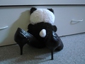Panda u štikla…