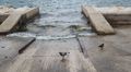 mogu li golubi&hellip;