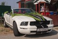 Ford Mustang W…