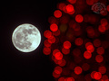 Mjesec i Božić…