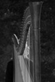 Harfa i harfis…