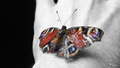 butterfly effe…