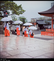Fushimi Inari …