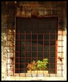 one old window…