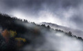 planinska magla