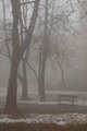 lanjski snijeg u mom parku