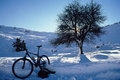 bicikla kraj kruške u snigu