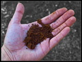 Soil in Hand