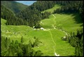 Zeleni se u podnožju Alpskih masiva
