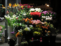 cvjetni trg, na kraju radnog vremena